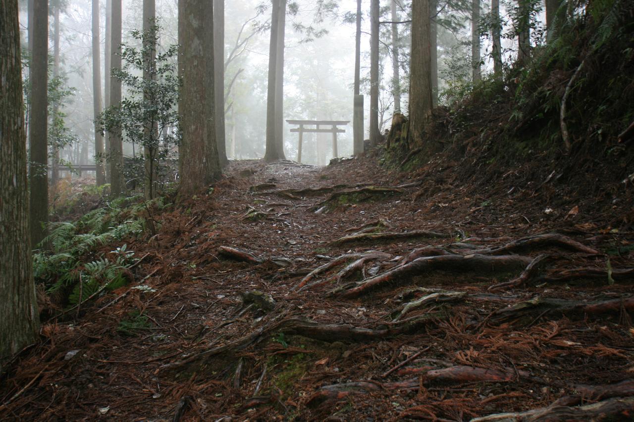 Watarase Onsen Hotel Yamayuri Hongu Eksteriør billede